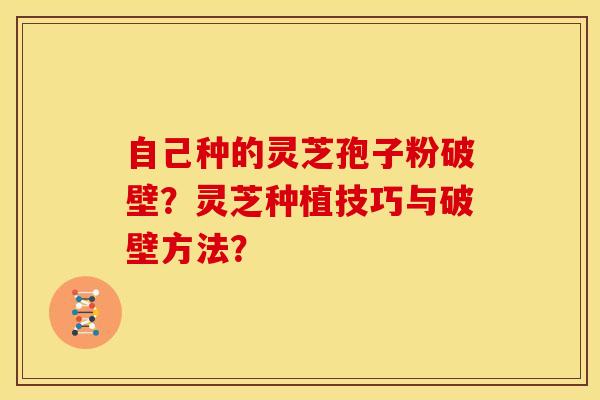 自己种的灵芝孢子粉破壁?灵芝种植技巧与破壁方法?