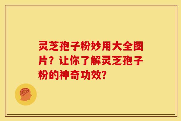 灵芝孢子粉妙用大全图片？让你了解灵芝孢子粉的神奇功效？