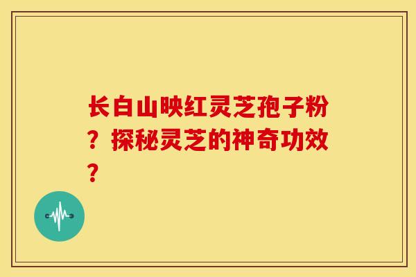 长白山映红灵芝孢子粉?探秘灵芝的神奇功效?