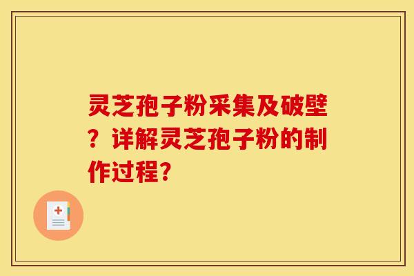 灵芝孢子粉采集及破壁?详解灵芝孢子粉的制作过程?