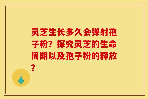 灵芝生长多久会弹射孢子粉？探究灵芝的生命周期以及孢子粉的释放？