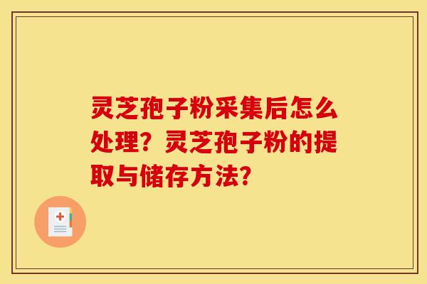 灵芝孢子粉采集后怎么处理？灵芝孢子粉的提取与储存方法？
