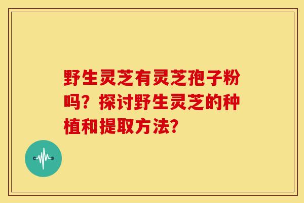 野生灵芝有灵芝孢子粉吗?探讨野生灵芝的种植和提取方法?