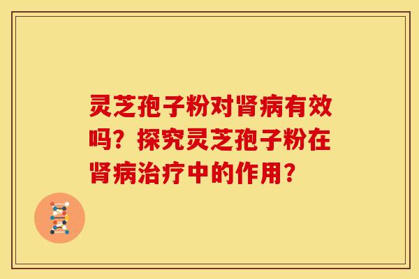灵芝孢子粉对肾病有效吗?探究灵芝孢子粉在肾病治疗中的作用?