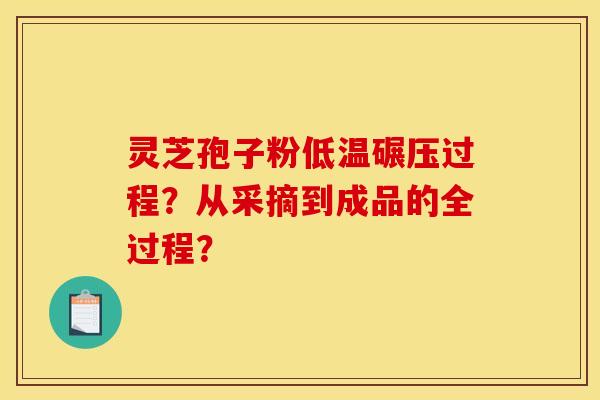 灵芝孢子粉低温碾压过程?从采摘到成品的全过程?