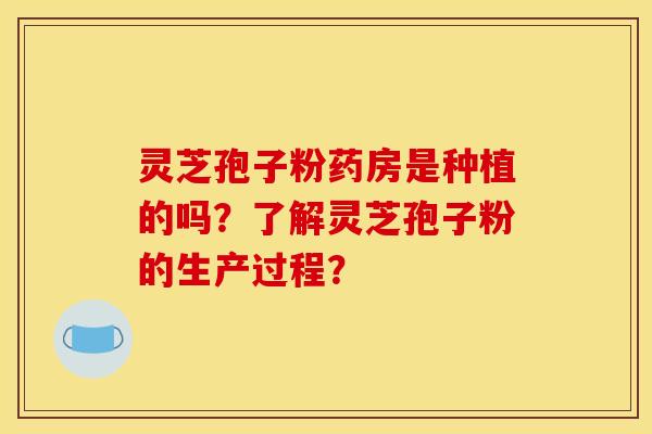 灵芝孢子粉药房是种植的吗?了解灵芝孢子粉的生产过程?