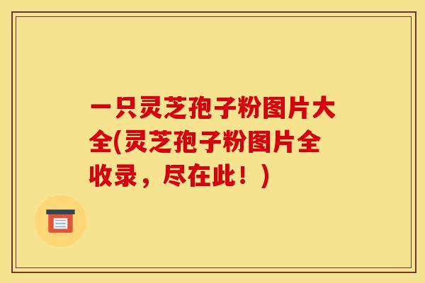 一只灵芝孢子粉图片大全(灵芝孢子粉图片全收录，尽在此！)