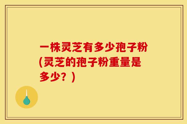 一株灵芝有多少孢子粉(灵芝的孢子粉重量是多少？)