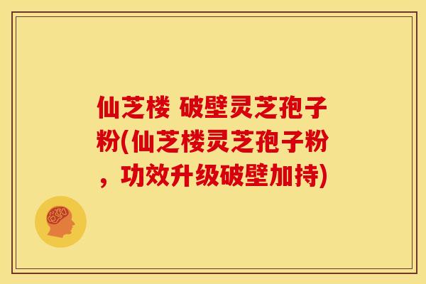 仙芝楼 破壁灵芝孢子粉(仙芝楼灵芝孢子粉,功效升级破壁加持)