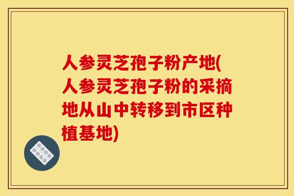 人参灵芝孢子粉产地(人参灵芝孢子粉的采摘地从山中转移到市区种植基地)