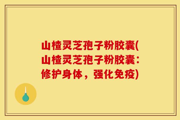 山楂灵芝孢子粉胶囊(山楂灵芝孢子粉胶囊:修护身体,强化免疫)