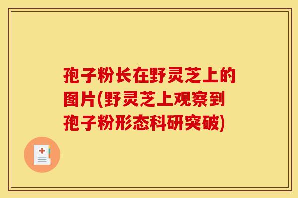 孢子粉长在野灵芝上的图片(野灵芝上观察到孢子粉形态科研突破)
