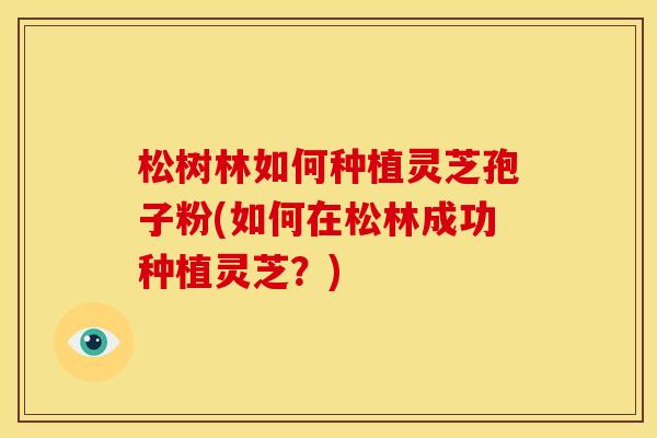 松树林如何种植灵芝孢子粉(如何在松林成功种植灵芝?)
