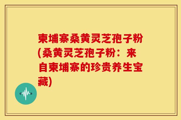 柬埔寨桑黄灵芝孢子粉(桑黄灵芝孢子粉:来自柬埔寨的珍贵养生宝藏)