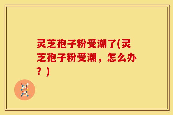 灵芝孢子粉受潮了(灵芝孢子粉受潮,怎么办?)
