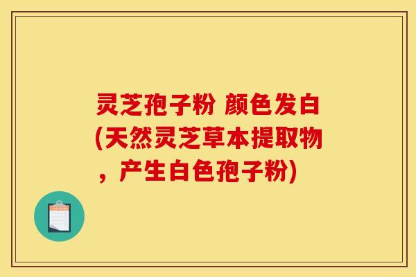 灵芝孢子粉 颜色发白(天然灵芝草本提取物，产生白色孢子粉)