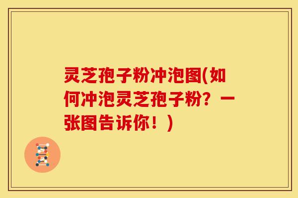 灵芝孢子粉冲泡图(如何冲泡灵芝孢子粉?一张图告诉你!)