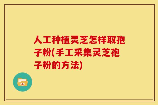 人工种植灵芝怎样取孢子粉(手工采集灵芝孢子粉的方法)