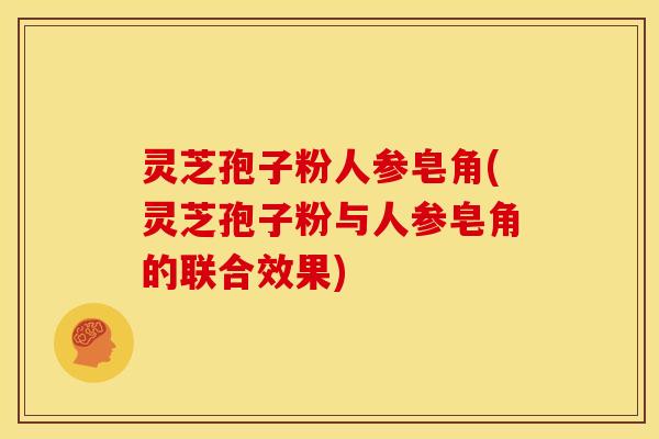 灵芝孢子粉人参皂角(灵芝孢子粉与人参皂角的联合效果)