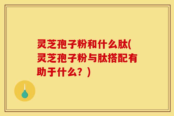 灵芝孢子粉和什么肽(灵芝孢子粉与肽搭配有助于什么?)