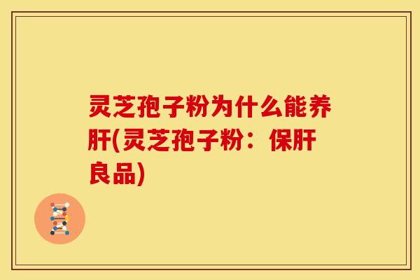 灵芝孢子粉为什么能养肝(灵芝孢子粉:保肝良品)