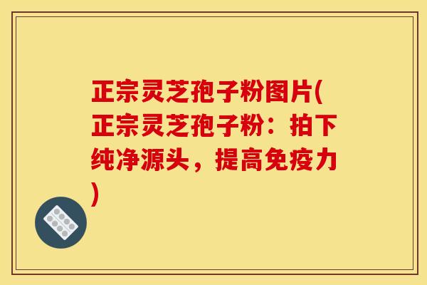 正宗灵芝孢子粉图片(正宗灵芝孢子粉：拍下纯净源头，提高免疫力)