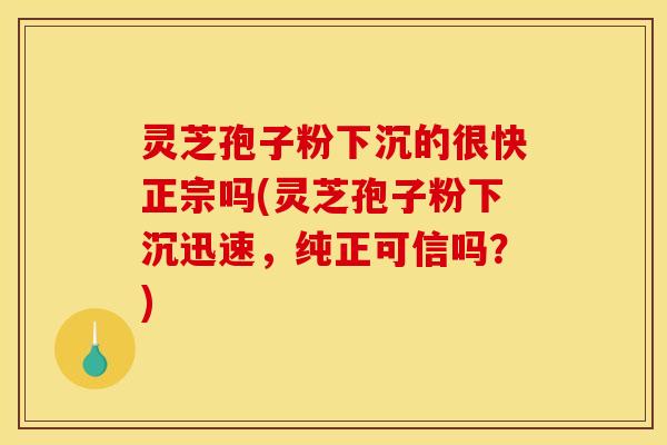 灵芝孢子粉下沉的很快正宗吗(灵芝孢子粉下沉迅速,纯正可信吗?)