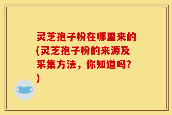 灵芝孢子粉在哪里来的(灵芝孢子粉的来源及采集方法,你知道吗?)
