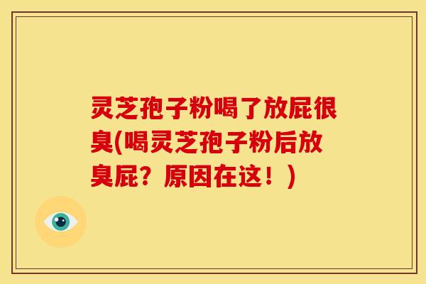 灵芝孢子粉喝了放屁很臭(喝灵芝孢子粉后放臭屁？原因在这！)