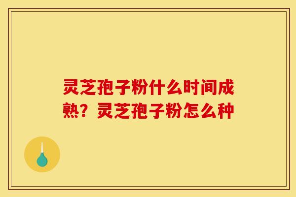 灵芝孢子粉什么时间成熟？灵芝孢子粉怎么种