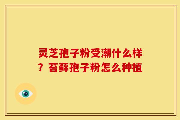 灵芝孢子粉受潮什么样?苔藓孢子粉怎么种植