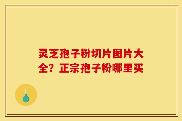 灵芝孢子粉切片图片大全？正宗孢子粉哪里买