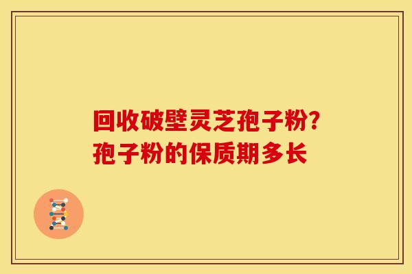 回收破壁灵芝孢子粉?孢子粉的保质期多长