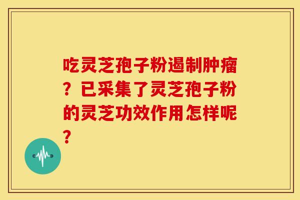 吃灵芝孢子粉遏制肿瘤?已采集了灵芝孢子粉的灵芝功效作用怎样呢?