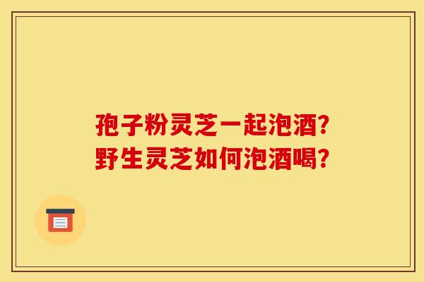 孢子粉灵芝一起泡酒?野生灵芝如何泡酒喝?