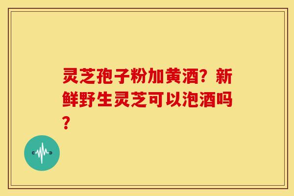 灵芝孢子粉加黄酒?新鲜野生灵芝可以泡酒吗?