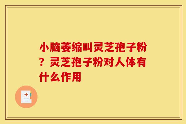 小脑萎缩叫灵芝孢子粉？灵芝孢子粉对人体有什么作用
