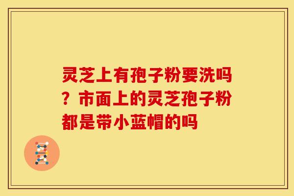 灵芝上有孢子粉要洗吗?市面上的灵芝孢子粉都是带小蓝帽的吗