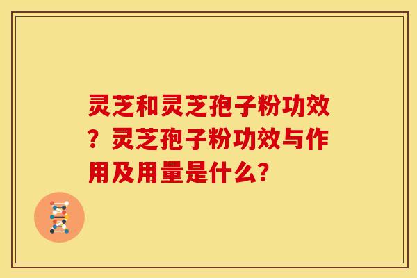 灵芝和灵芝孢子粉功效?灵芝孢子粉功效与作用及用量是什么?