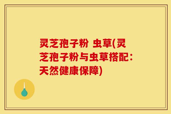 灵芝孢子粉 虫草(灵芝孢子粉与虫草搭配：天然健康保障)