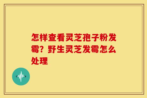 怎样查看灵芝孢子粉发霉？野生灵芝发霉怎么处理