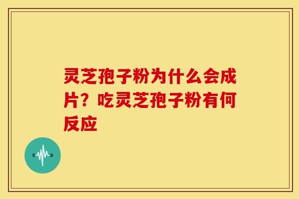 灵芝孢子粉为什么会成片?吃灵芝孢子粉有何反应