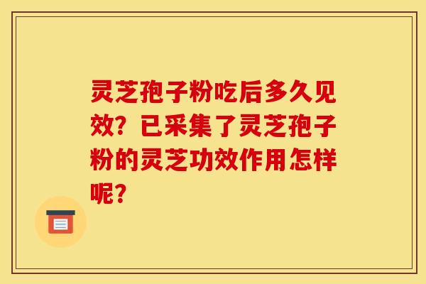 灵芝孢子粉吃后多久见效?已采集了灵芝孢子粉的灵芝功效作用怎样呢?