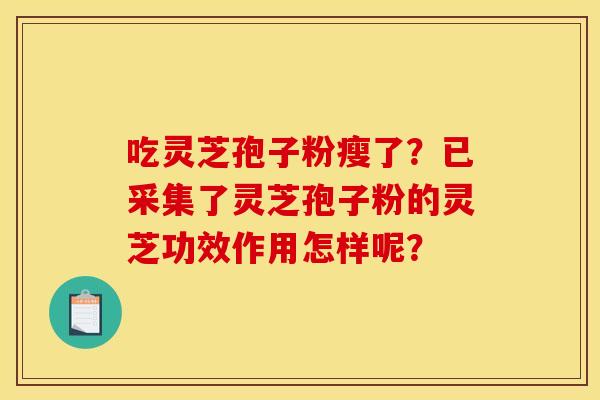 吃灵芝孢子粉瘦了?已采集了灵芝孢子粉的灵芝功效作用怎样呢?