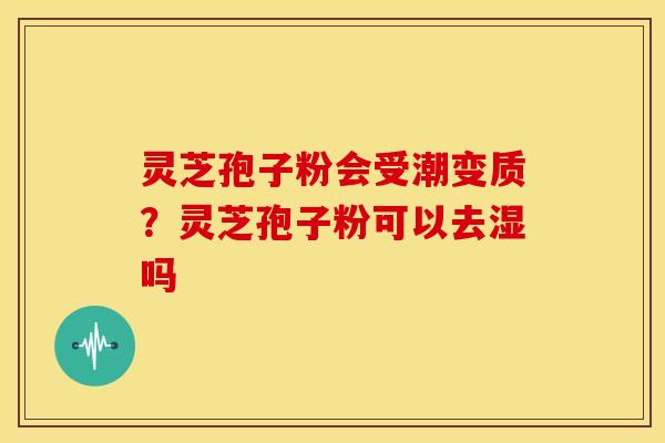 灵芝孢子粉会受潮变质?灵芝孢子粉可以去湿吗