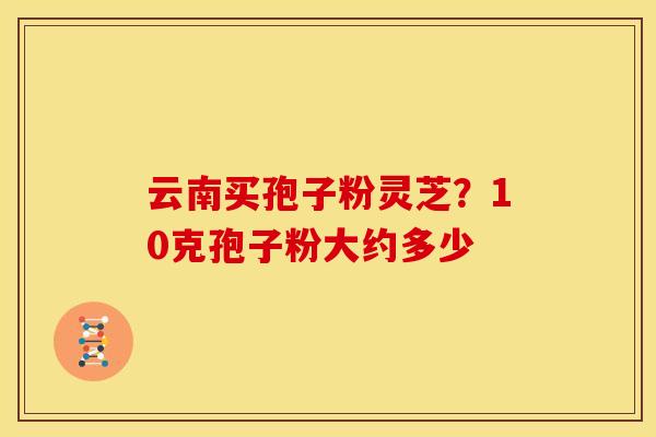 云南买孢子粉灵芝?10克孢子粉大约多少