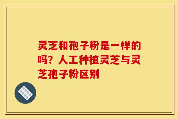 灵芝和孢子粉是一样的吗?人工种植灵芝与灵芝孢子粉区别
