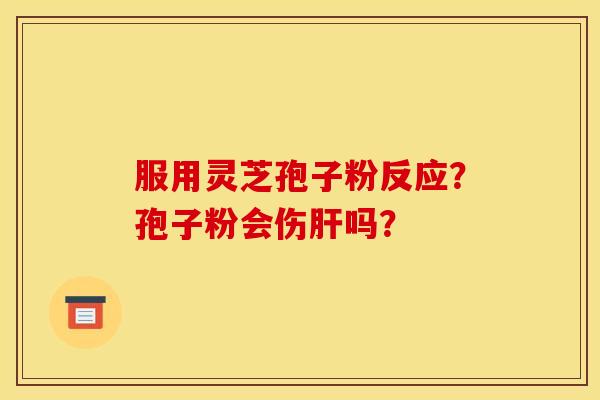 服用灵芝孢子粉反应?孢子粉会伤肝吗?