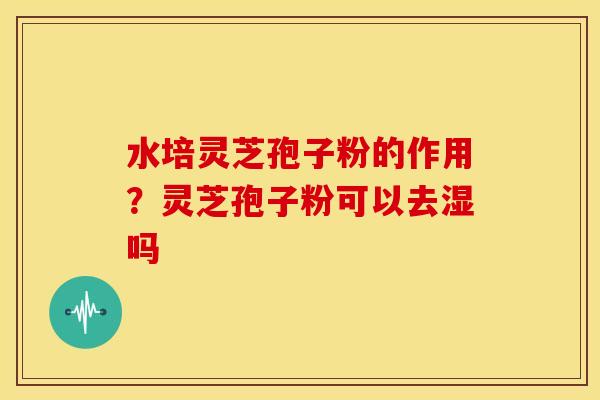 水培灵芝孢子粉的作用？灵芝孢子粉可以去湿吗