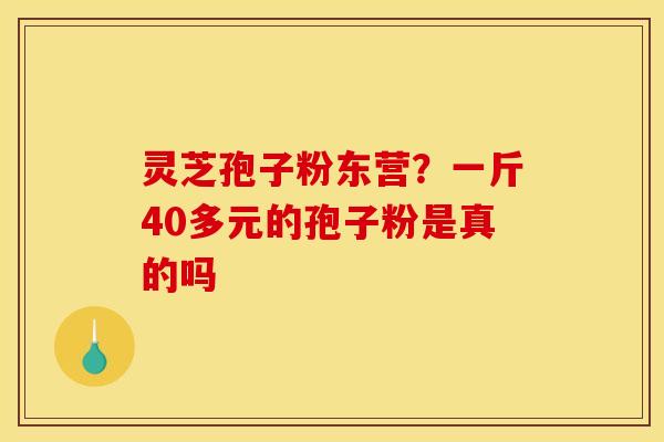 灵芝孢子粉东营?一斤40多元的孢子粉是真的吗